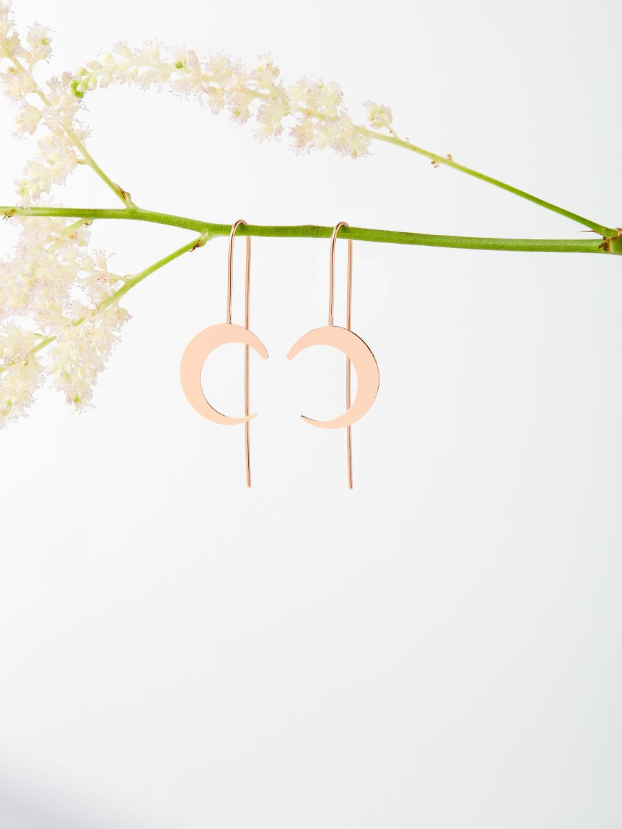 Moon & Needle Earrings